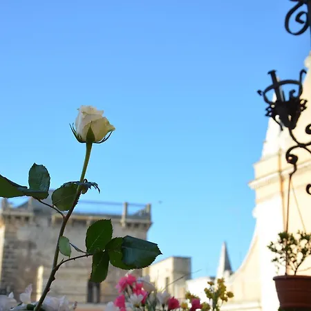 Apulia '800