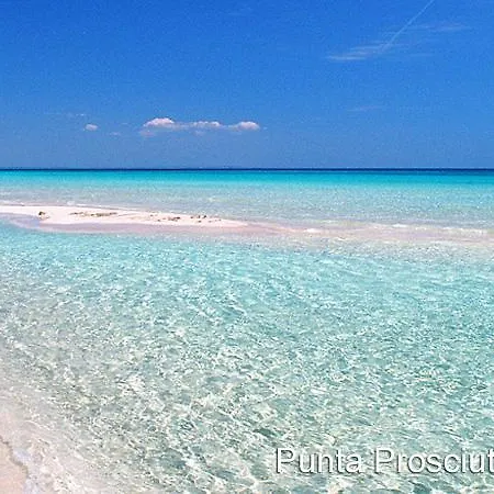 Apulia '800 Bed and Breakfast San Pietro Vernotico